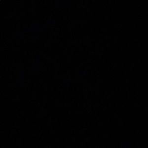 Meet your Posher, Zoey